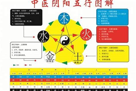 甲戌年五行|甲戌年五行属性 甲戌年男命